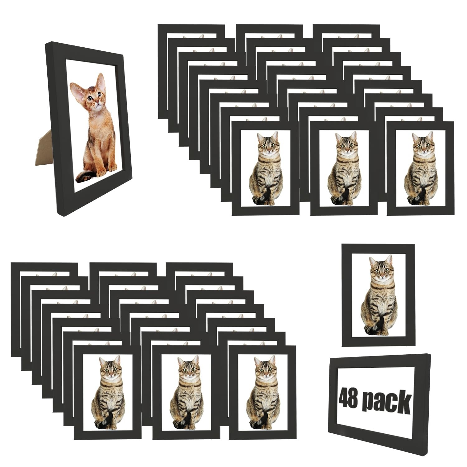 WHEATHUSK 4×6 Picture Frame Bulk Set of 48 Black Photo Frames Display