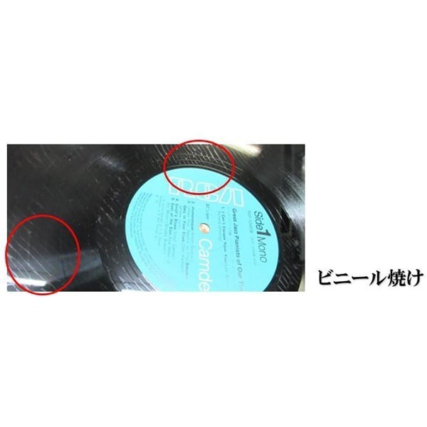 NAGAOKA GRS-LP10 LP Vinyl Record Inner Sleeves Glassine Paper 10 Sleeves