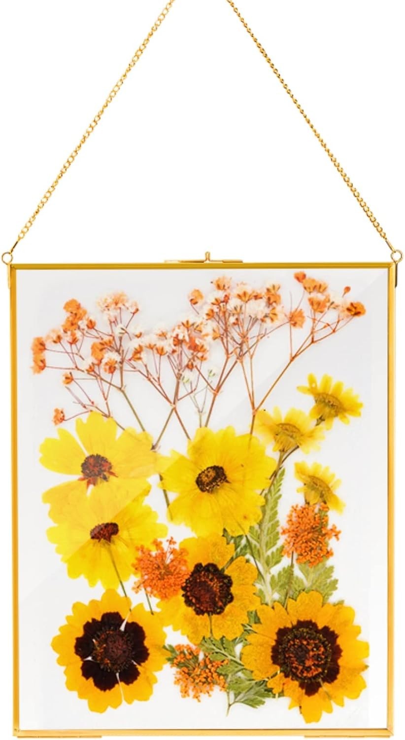 AVLA Brass Hanging Photo Frame, 11×14 Inch Double Glass Gold-Large-1pc