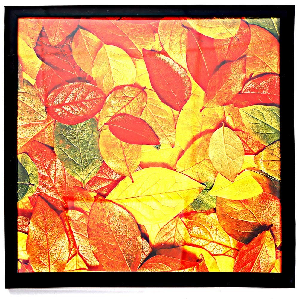 Medog 13×13 Picture Frame for Wall, Display Pictures 13×13, 1P Black