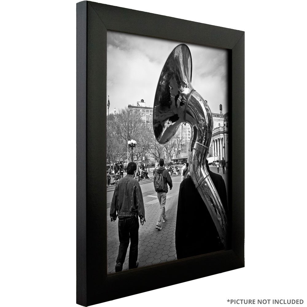Craig Frames 18×24 Contemporary Black Picture Frame, Premium 18 x 24,