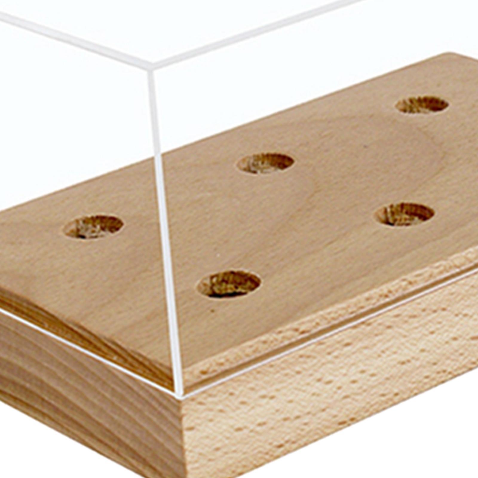 Turntable Headshell Storage Box Ornament Display Box Accs Durable for Phono