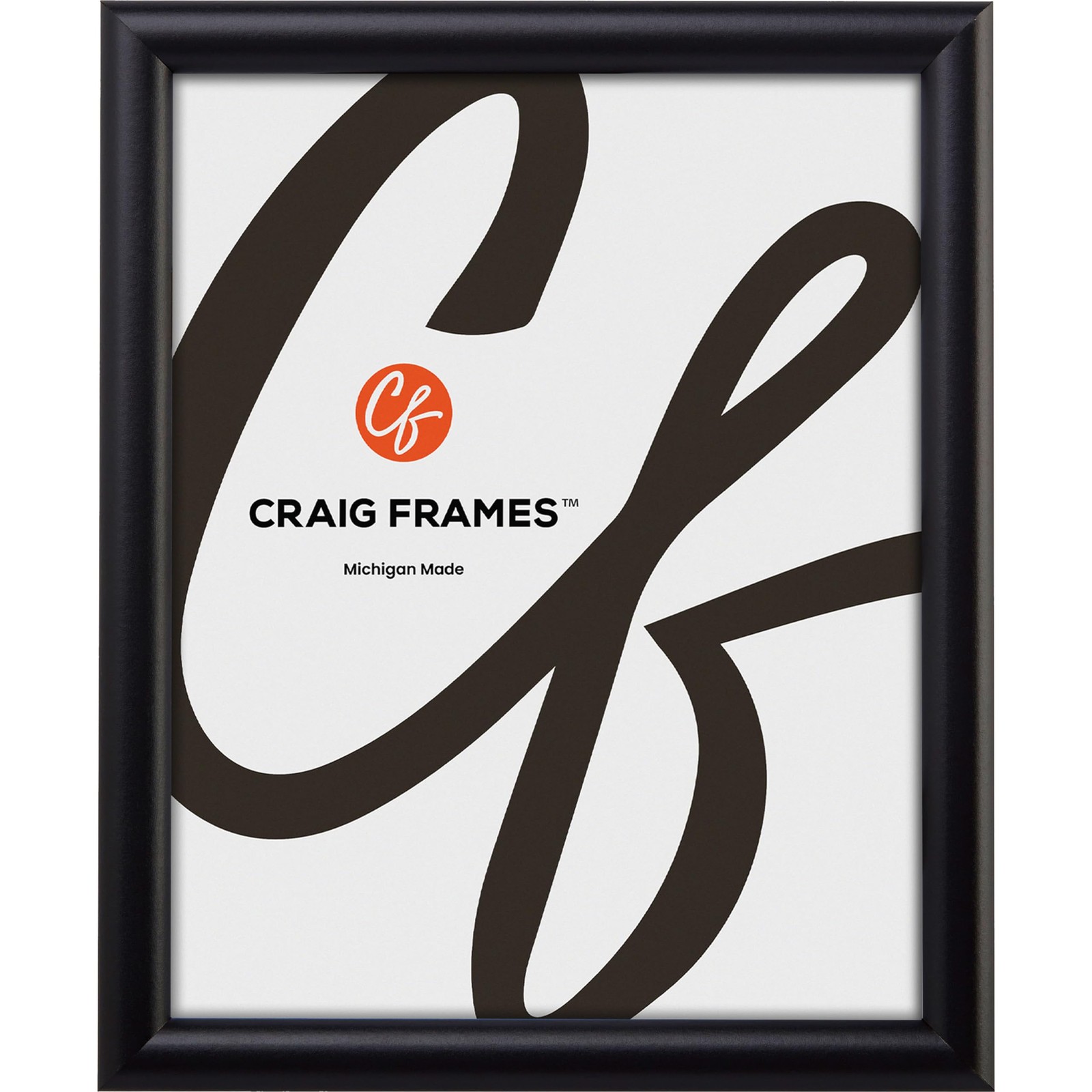 Craig Frames FW2BK 10 x 13-Inch Picture Frame, Smooth Finish, 10 x 13, black