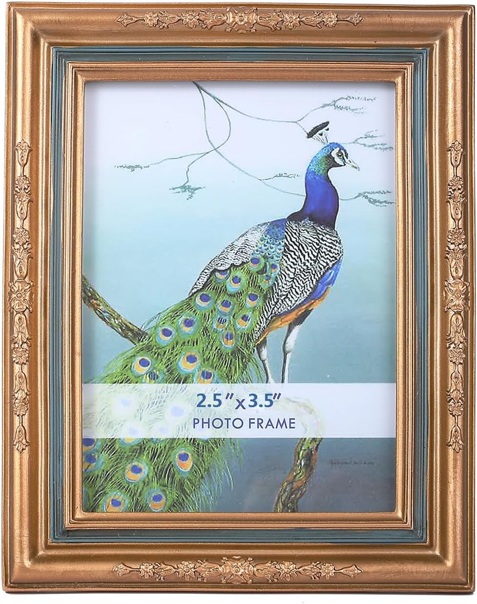 SIKOO Vintage 2.5 x 3.5 Picture Frames Small x 3.5, Bronze and Blue
