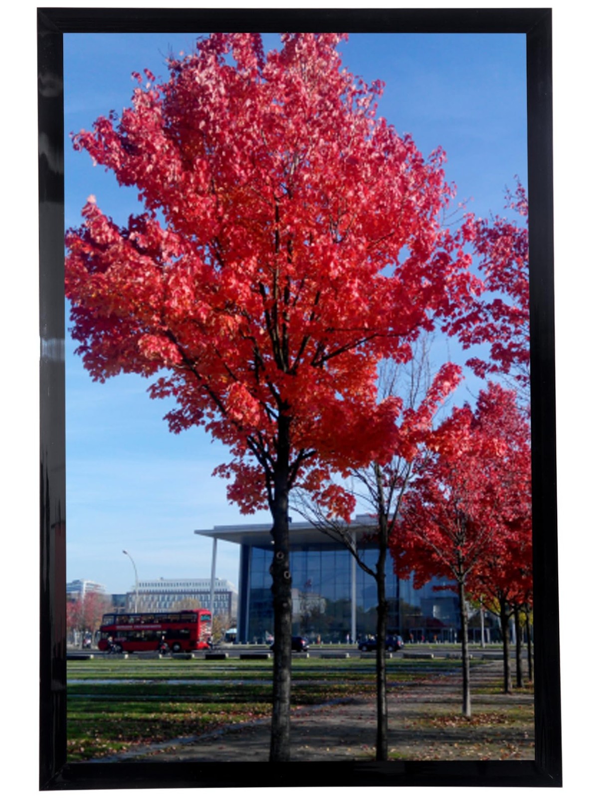Medog 11×17 Picture Frame for Wall Black, Display pictures 11×17, 1P Black