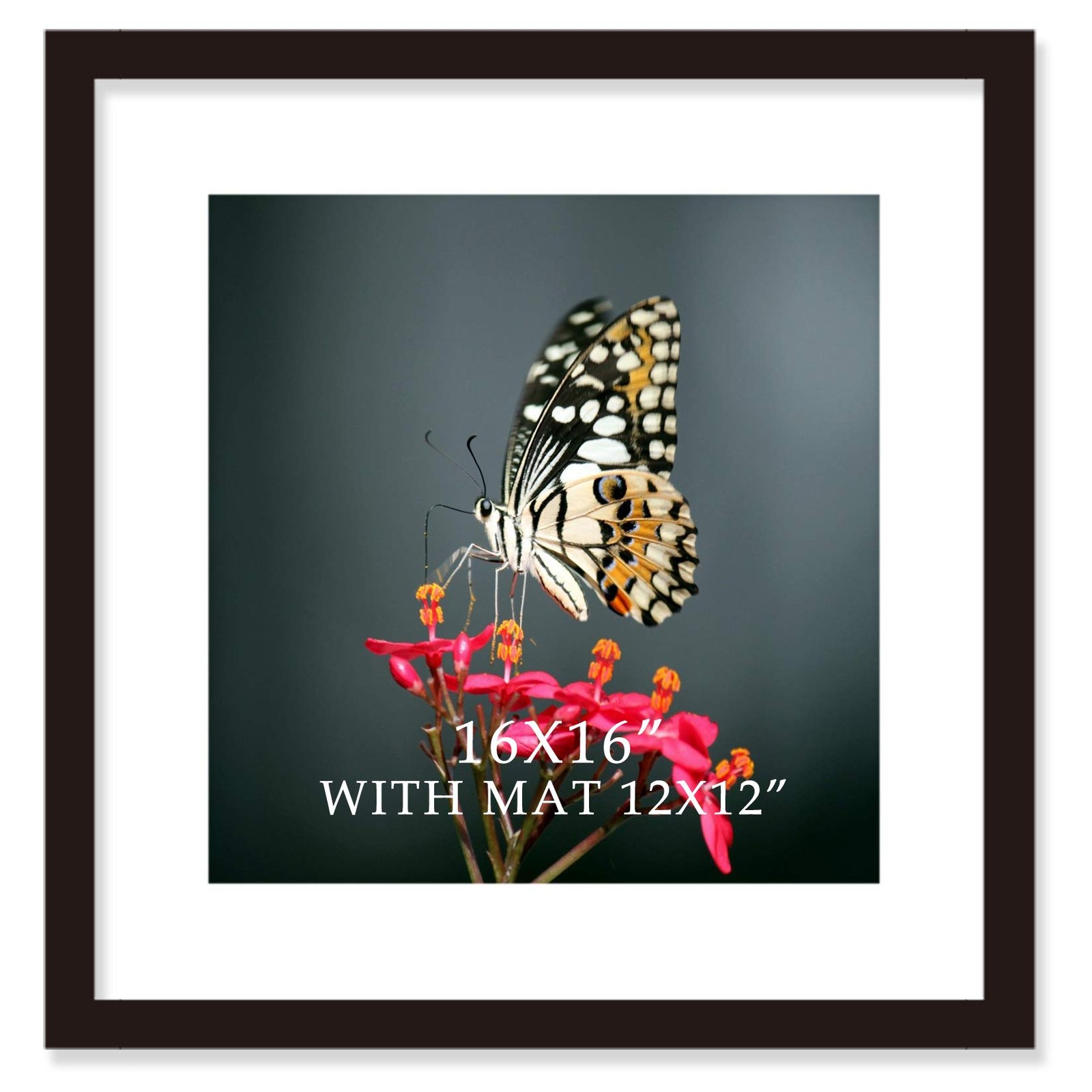 VITOIVE 16×16 Frame Black With Mat 12×12 Solid Wood Picture Inch,