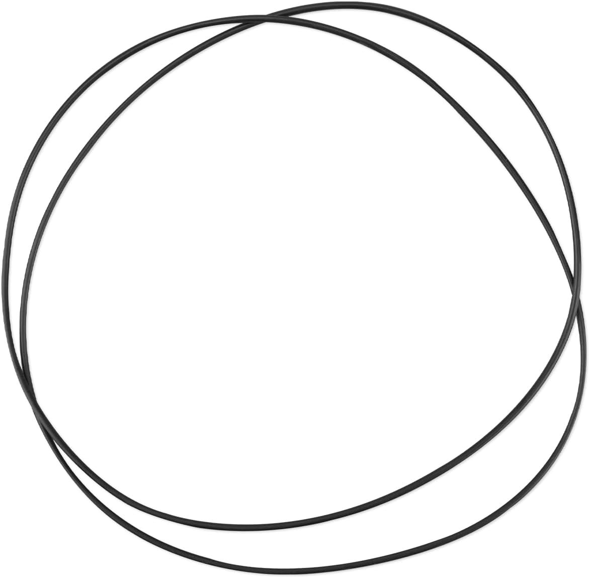 Turntable Drive Belt Fits for Pro-Ject Audio Systems, Replace Xpression RPM 5.1
