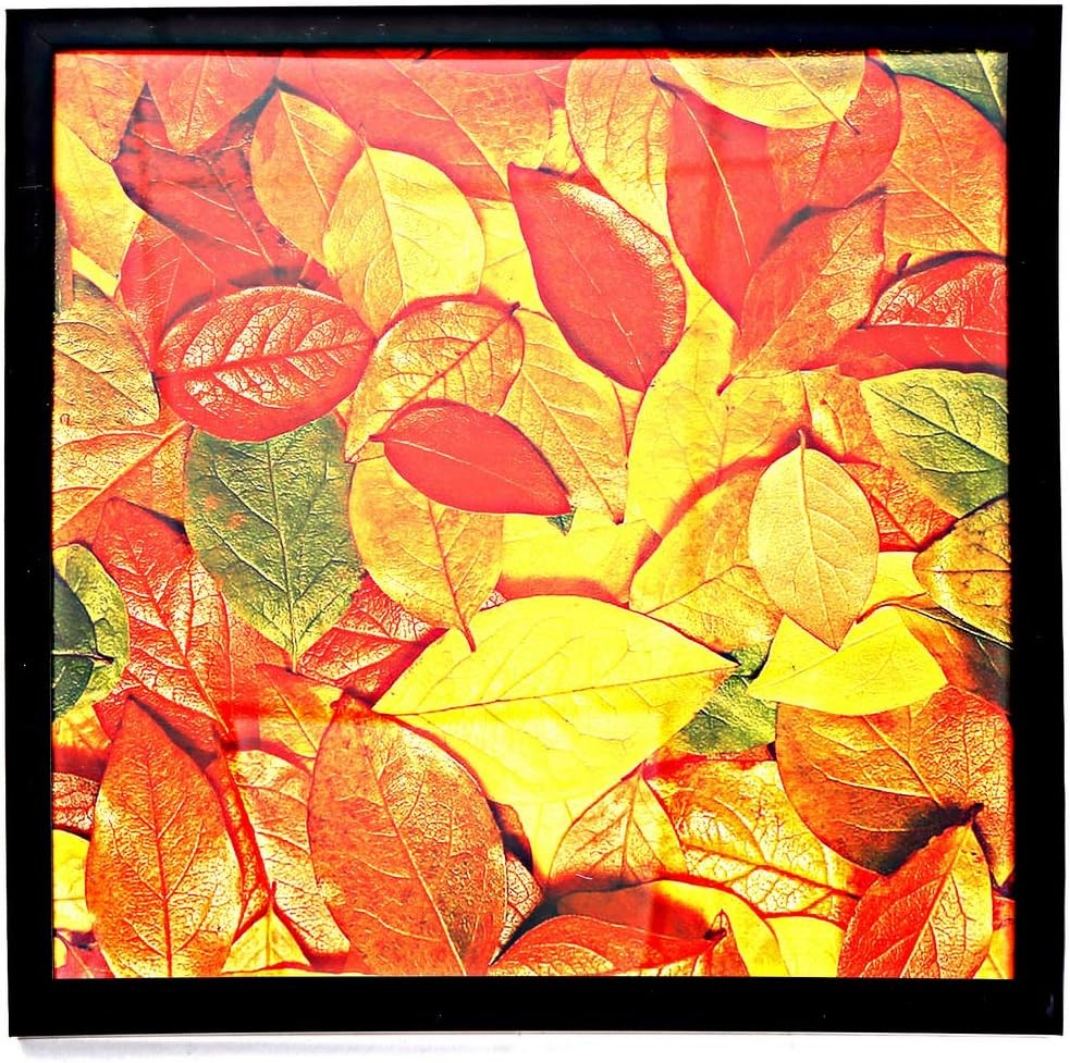 13×13 Picture Frame for Wall, Display Pictures Square 13×13, 1P Black