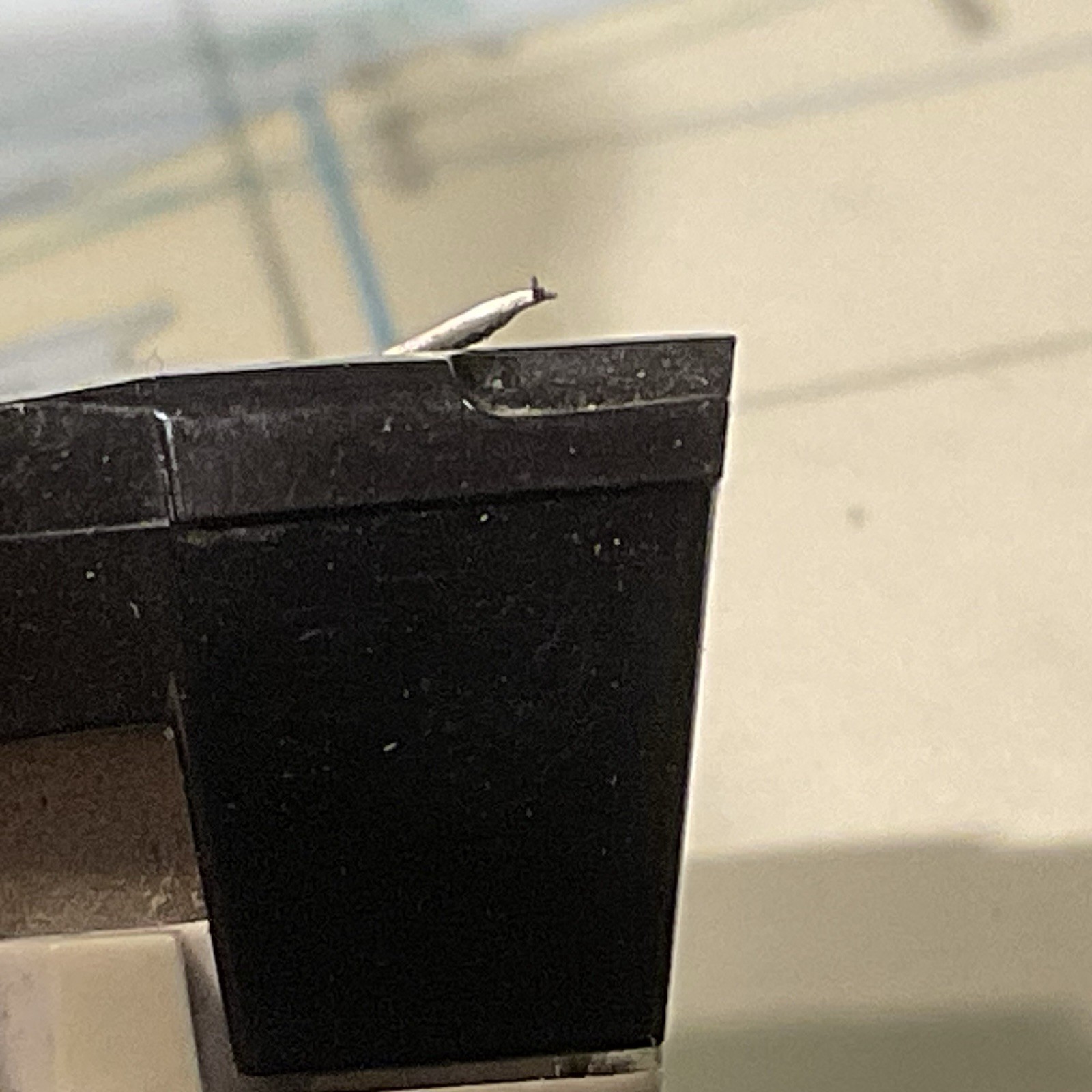 Audio Technica AT65 cartridge with Stylus