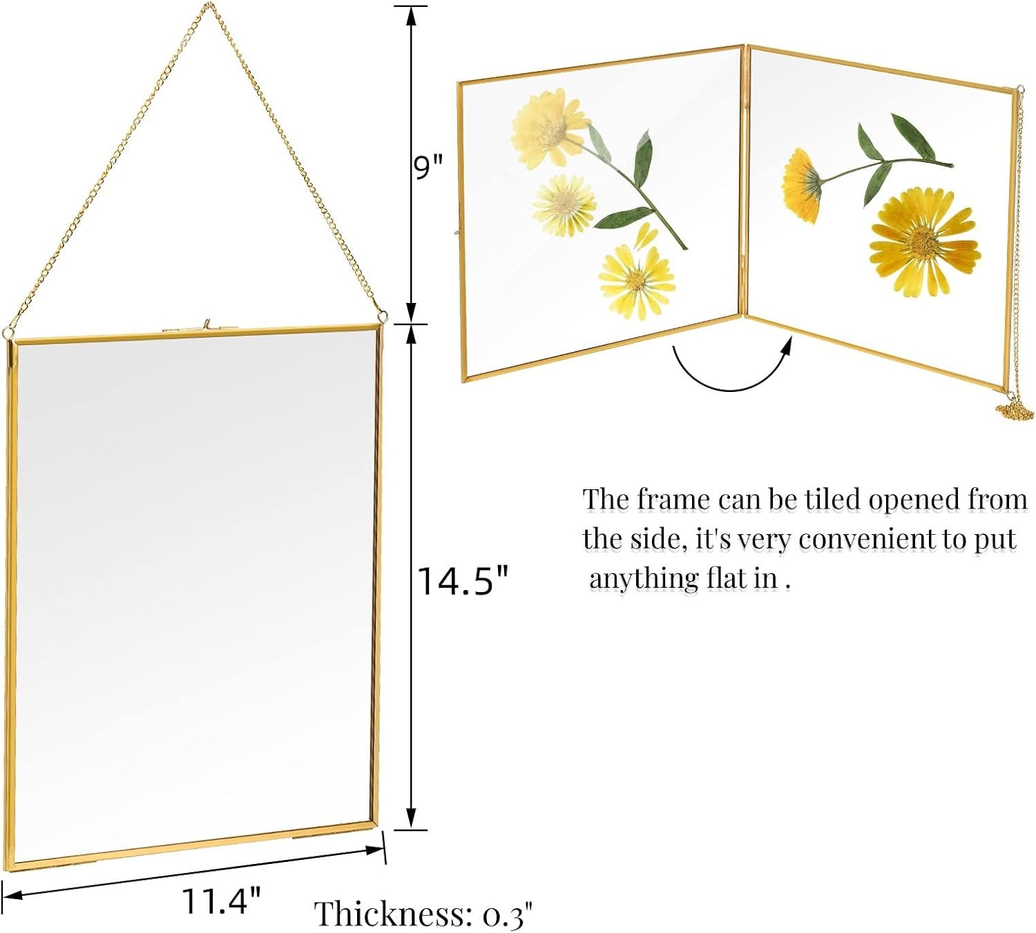 AVLA Brass Hanging Photo Frame, 11×14 Inch Double Glass Gold-Large-1pc