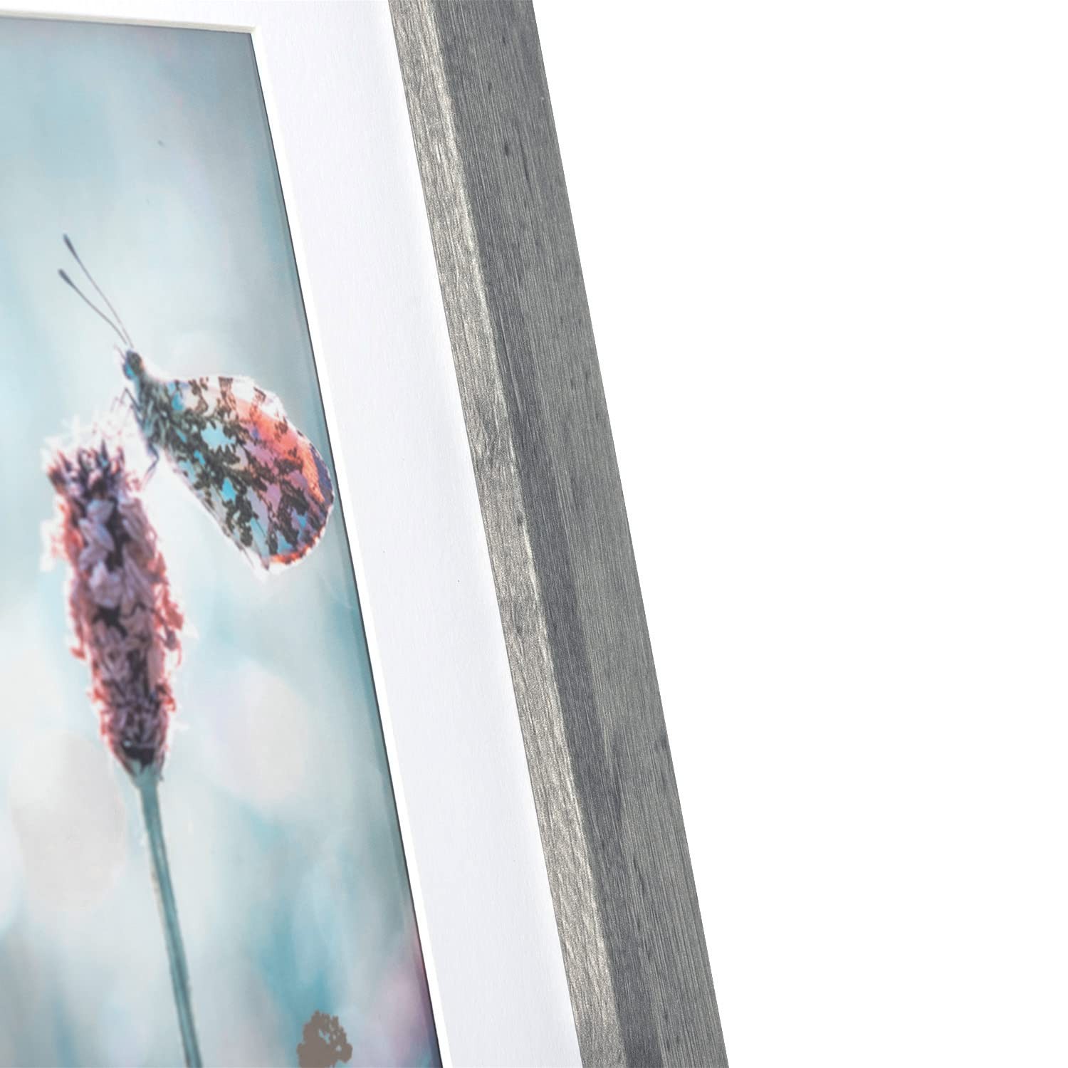 Scholartree Grey 8×10 Picture Frame set of 2,Display inches 2P,