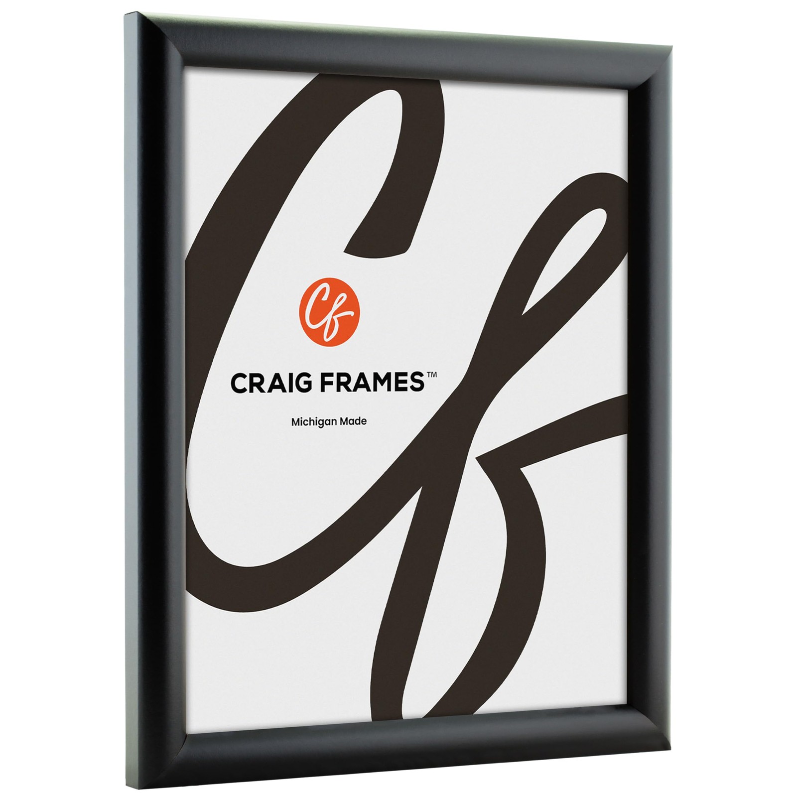 Craig Frames FW2BK 10 x 13-Inch Picture Frame, Smooth Finish, 10 x 13, black