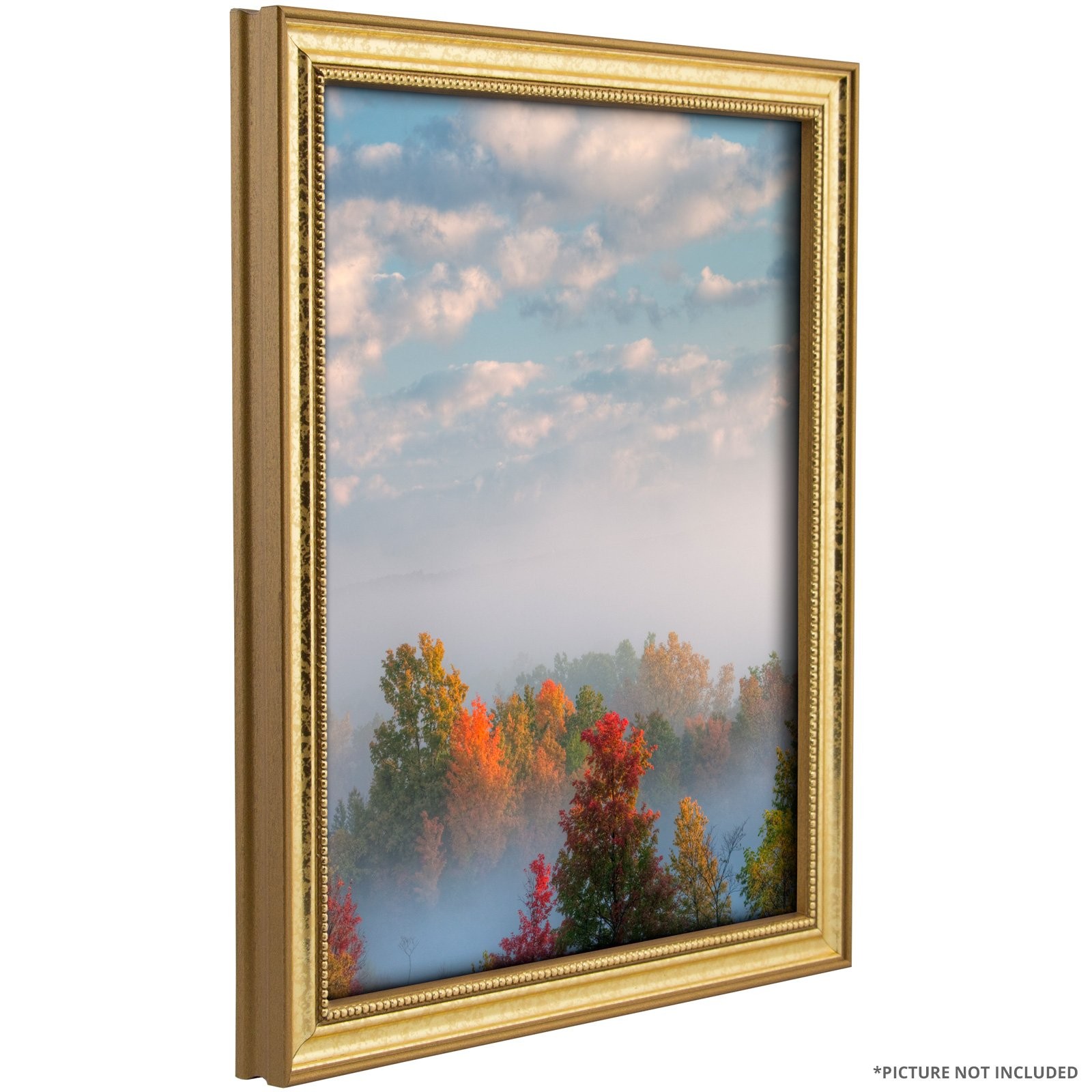 Craig Frames 314GD0810DAC 0.75-Inch Wide Picture/Poster Frame in 8×10, Gold